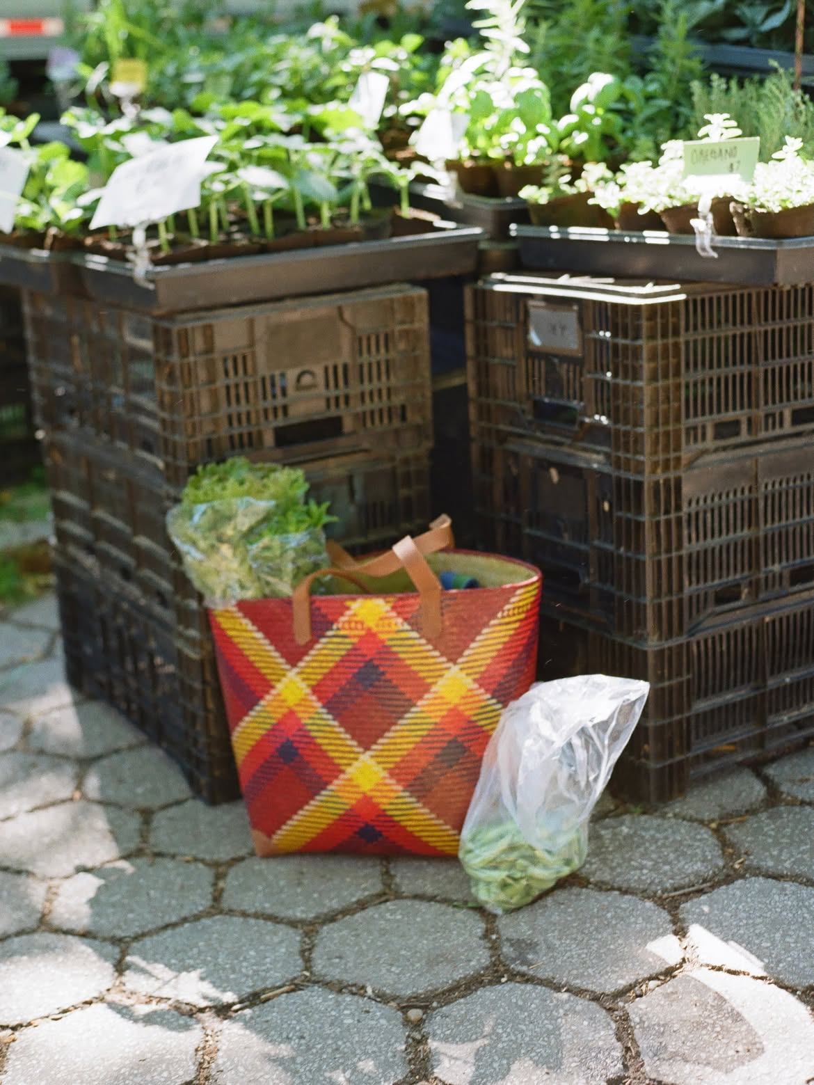 Core Collective™ Recyclable Tote — Assorted Designs