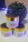 CCollective™ - Retinol Collagen Firming Cream – Day & Night Moisturiser - (50ml)